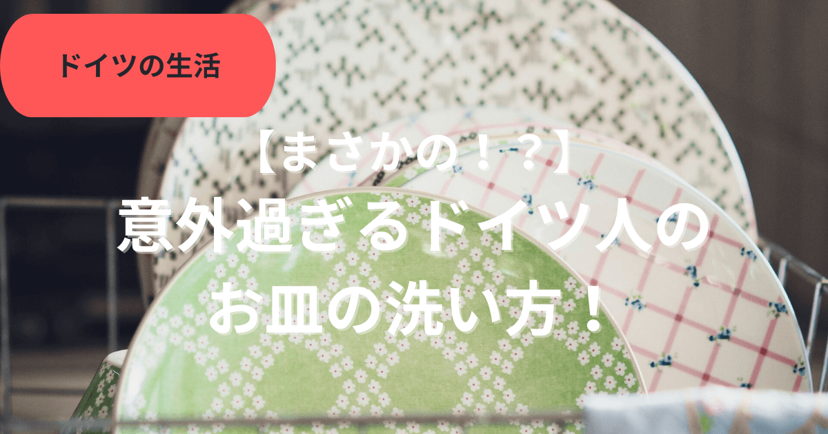 ドイツ人のお皿の洗い方